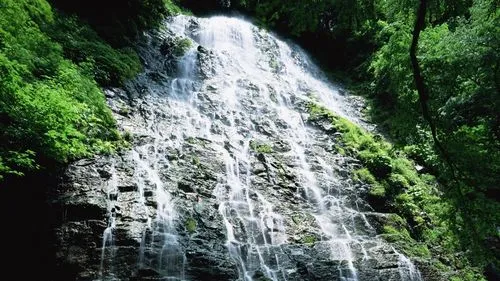 绿色高效数字化